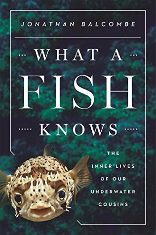 The Inner Lives of Our Underwater Cousins - Jonathan Balcombe