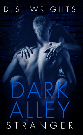 Dark Alley Stranger (Dark Alley, #1) by D.S. Wrights