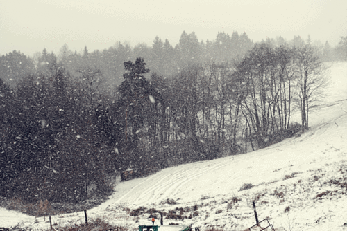 photo tumblr_mbkqn7RSgI1rb8q8vo1_5002.gif