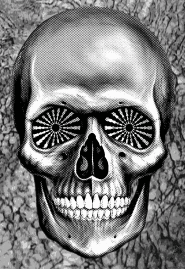 photo bigskull_zpscf030ac0.gif
