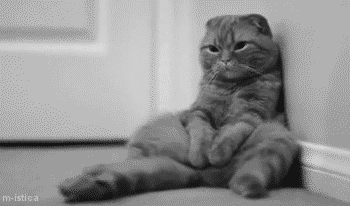 photo tumblr_inline_n9rbi1iLIR1qb3wyg_zpswi1fun8d.gif