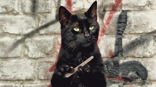 photo tumblr_lhh2p7JRrd1qzfa5ao1_500.gif